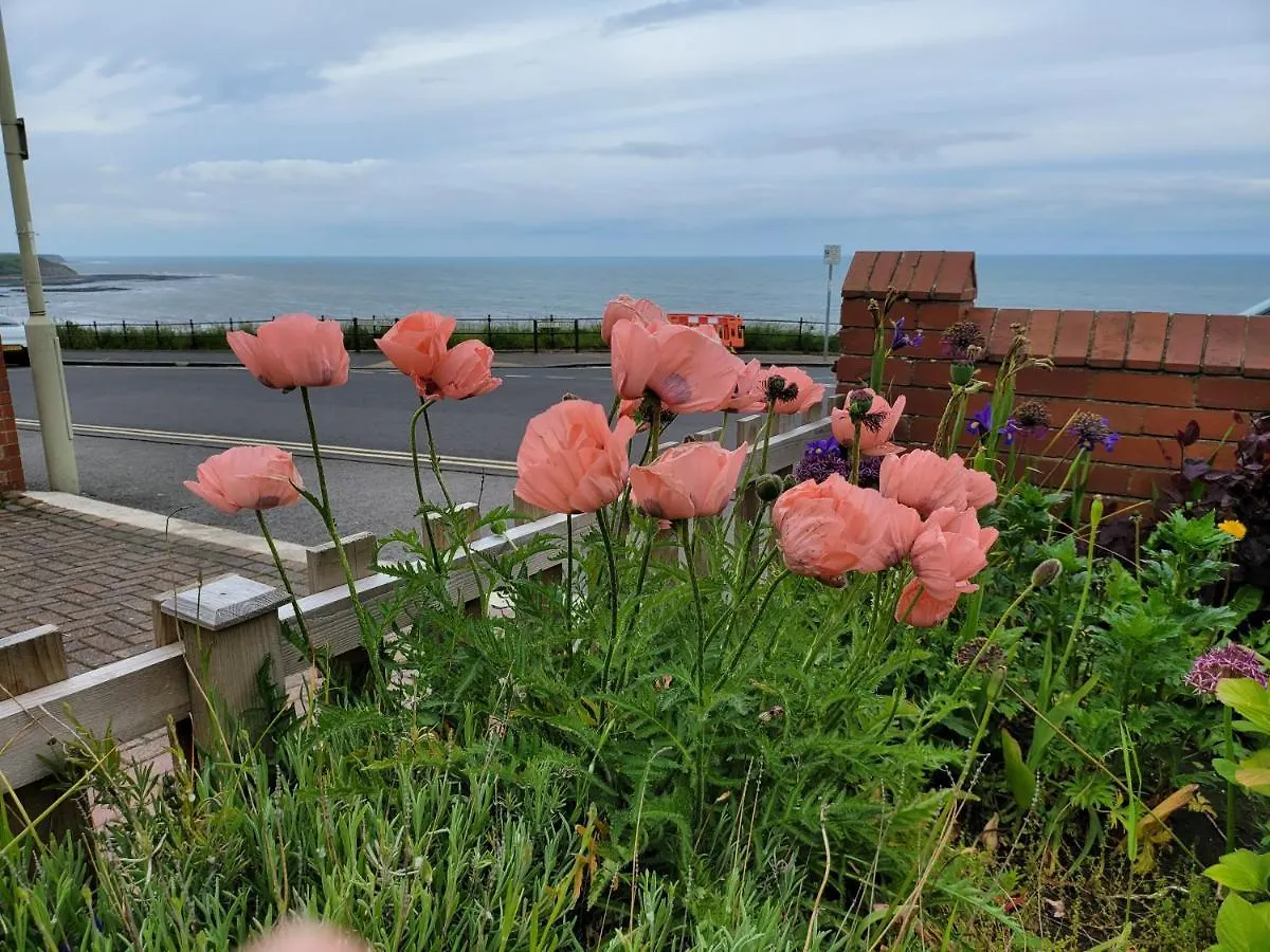 斯卡伯勒Seaview Ground Floor Flat Fast Wifi & Free Parking公寓 英国
